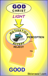 Perception Good