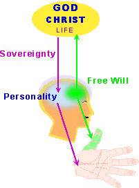 Sovereignty and Free Will