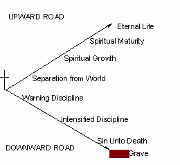 Roads of Life