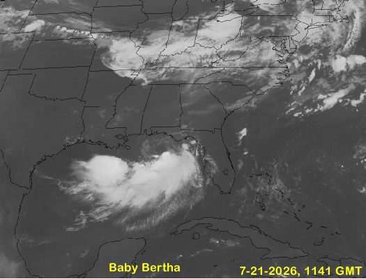 Bertha Bertha